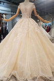 Off-The-Shoulder Ball Gown Lace Lace Up Back Royal Train Wedding Dress