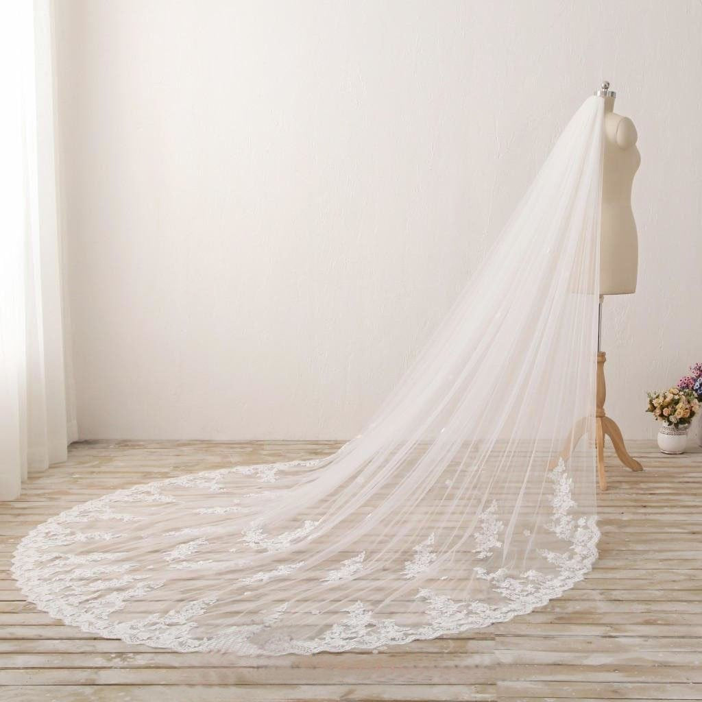 3M Long Embroidered Lace Appliques Tulle Cathedral Veil for Wedding Wedding Veil WK869