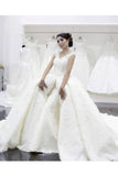 Luxurious V Neck Wedding Dresses Tulle With Applique Court Train