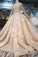 Ball Gown Long Sleeve Lace Appliques Pink Sequin Wedding Dresses, Quinceanera Dress PW769