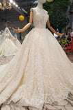 Luxury Wedding Dresses Halter  A-Line Lace Half Sleeves Open Back Cathedral Train Top Quality Lace