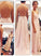 Backless Spaghetti Straps V-Neck Pink Open Back Chiffon Evening Gowns WK508