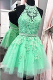 2022 Halter Open Back Appliques Beads Tulle Lace Homecoming Dress WK529